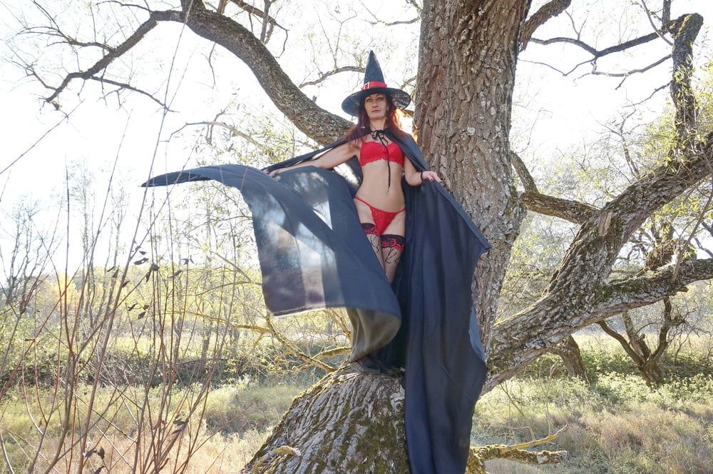 Witch on the Tree #24
