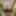 Random Pics From Getting Naked in the Woods #6