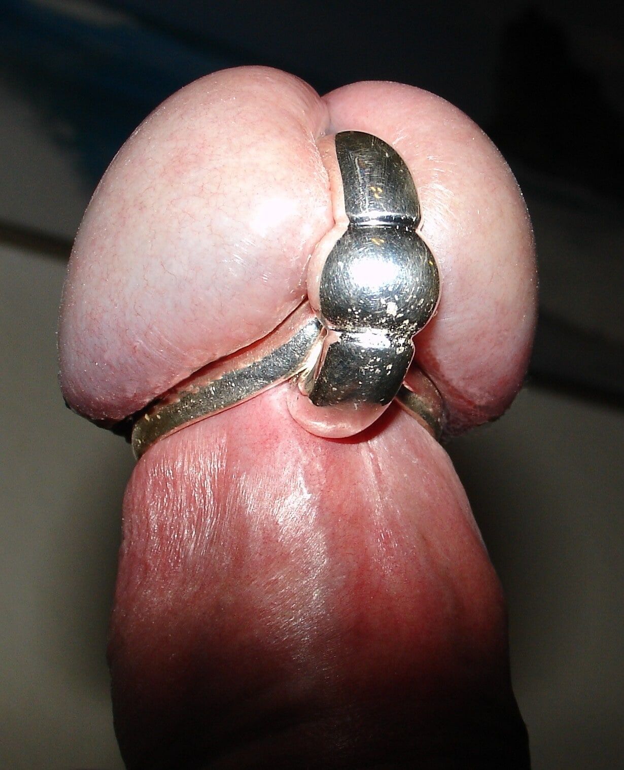 My cock with jewelry #37