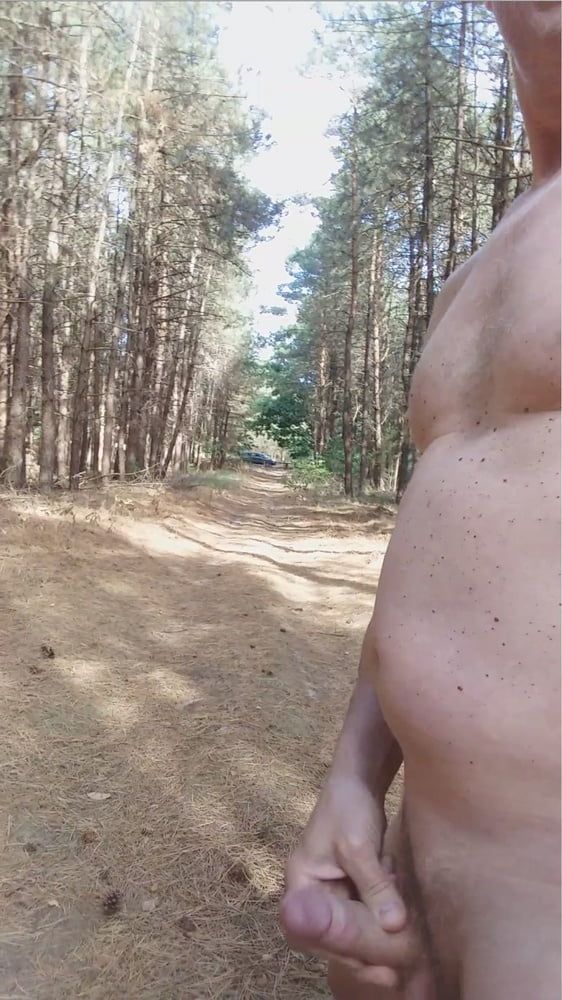 exhibitionist naked jerking cumshot in the woods