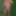 Naked gardener