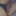 My Dick
