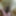 Husband and Wife Mutual Masturbation Fucking Hairy Pussy #7