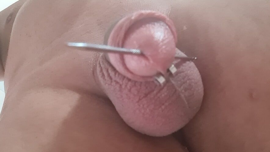 pierced cock #6