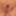 Inside wife’s asshole