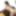 Miyu Morita :: Debut Vol.63 - CARIBBEANCOM #4
