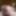random exhibitionist sexshow bondage jerking webcam cumshot