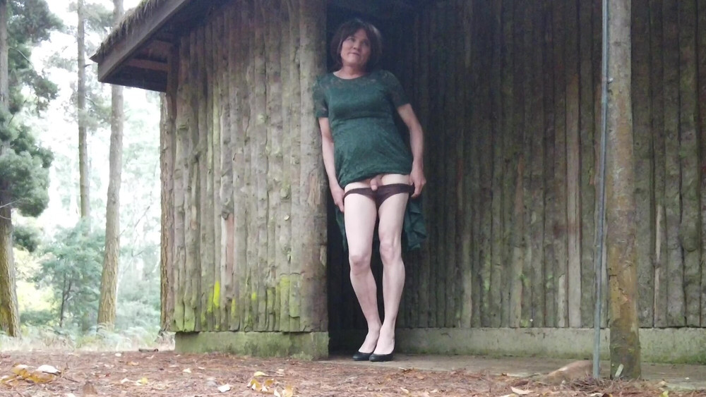 Crossdress Roadtrip - Green Dress #10