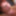 I masturbate at the direction of my camera guy #58