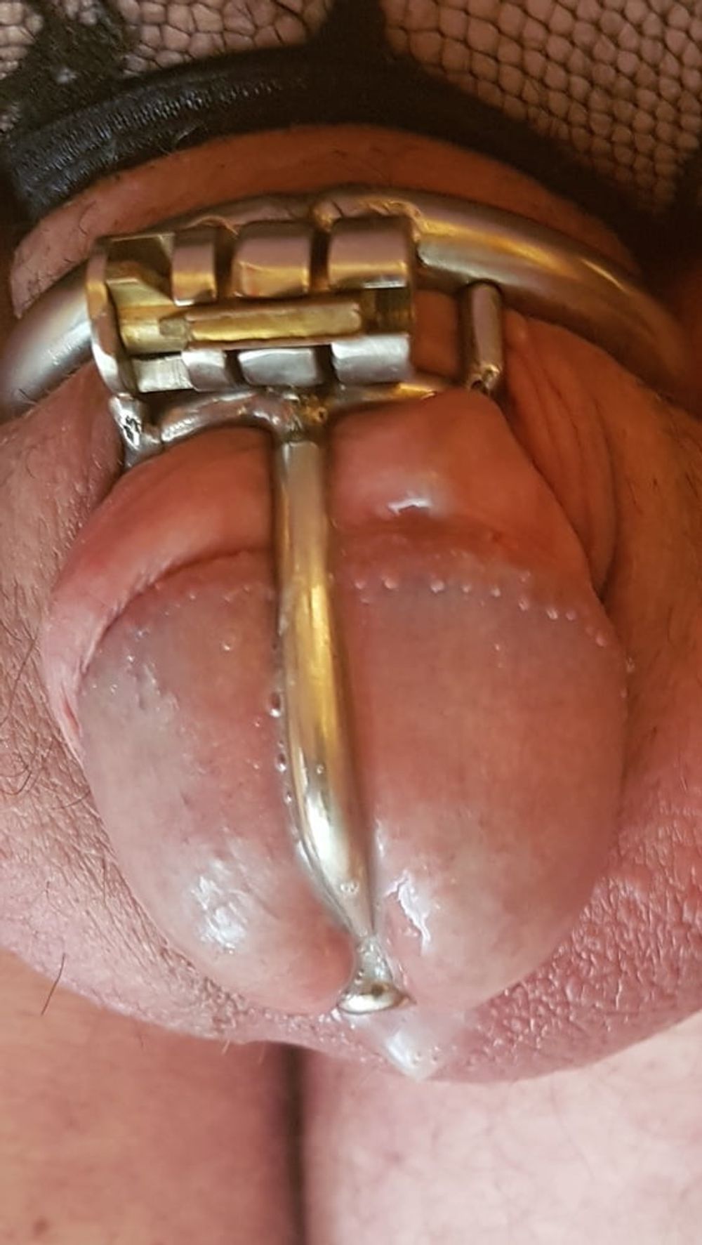 Precum and cum #3