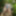 Wanking in the woods #20
