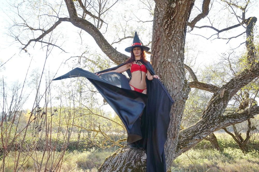 Witch on the Tree #21