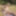 Flroian Johannes Mueller nude at the beach #14