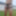 Mon cul en lingeries coquine  #2