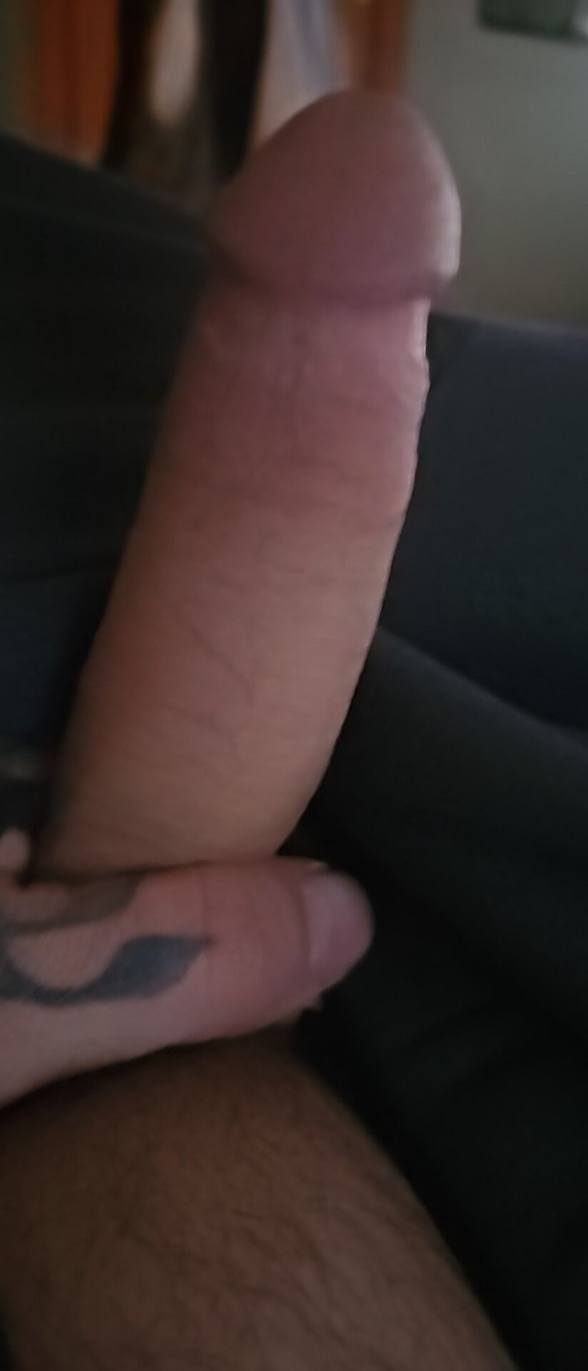 Cocks  #7