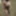 naked walk outdoor in public mit Riesentitten