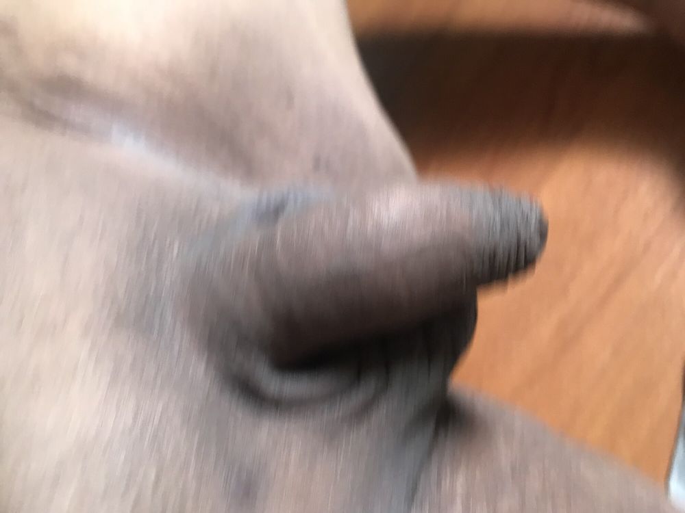 Amateur chubby small dick dildo anal  #55