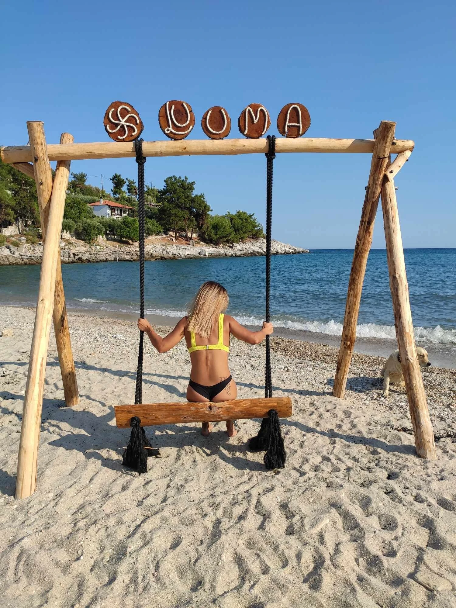 Summer 24 #8