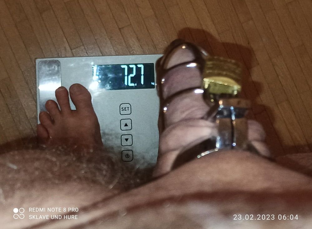 Delator, mandatory weighing, cockcage, nake 23.02.23 #10
