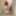 Ücretsiz Alice Kitagawa Fotoğrafları