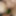 Pussy, tits, blowjob, sucking dick, #7