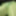 Lime spandex collection 2  #3