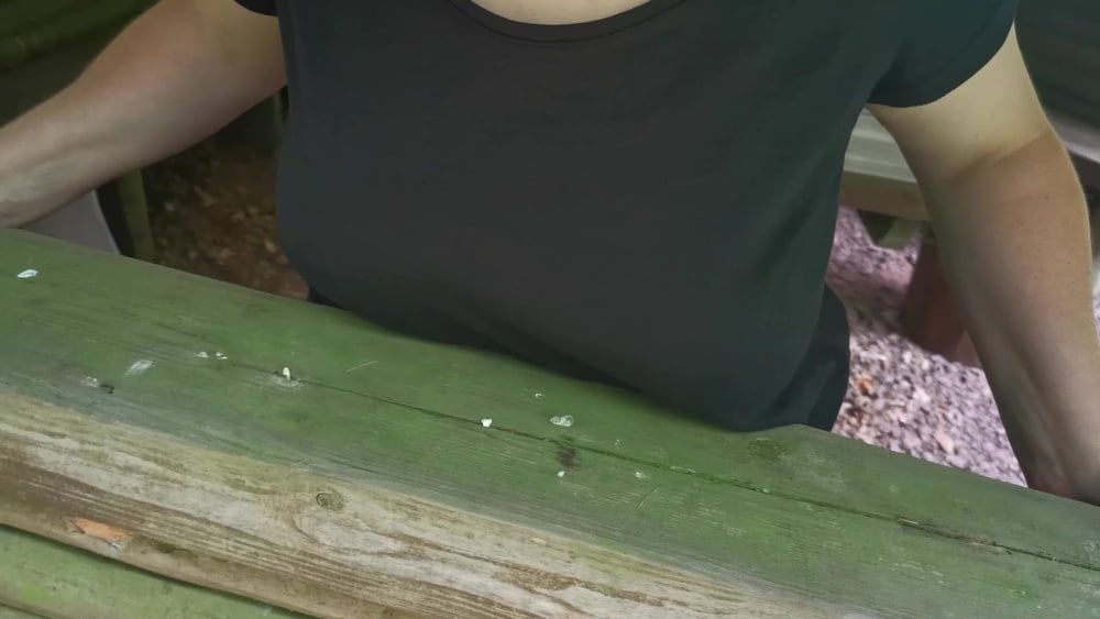 Slapping tits and ass in picnic hut #12