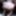 Everything! Creampie Boobs Pussy BDSM Anal Ebony Black Teen #41