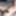 Feburary 2019 -2