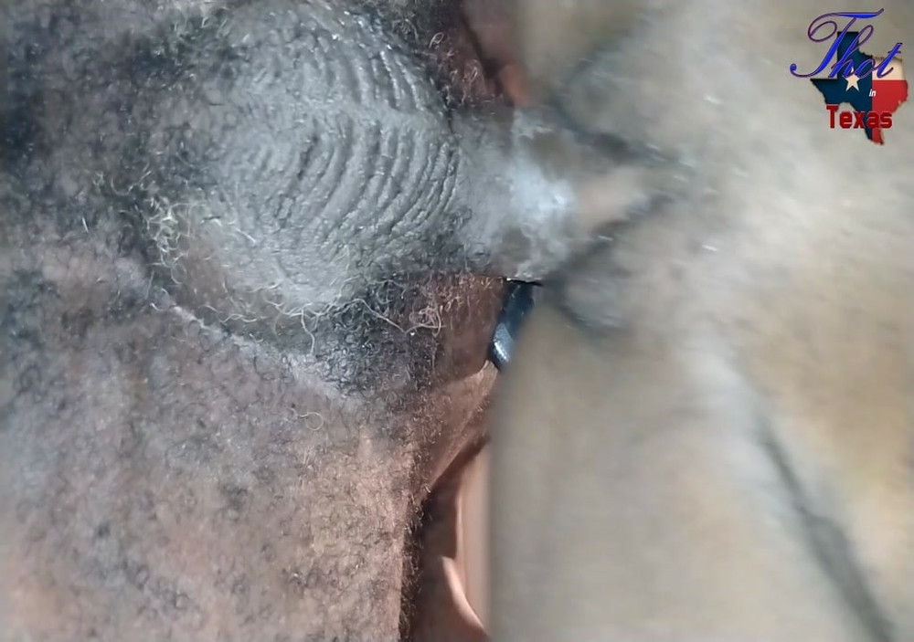 Ass n Pussy #54