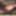 shemale lingerie sounding dildo sissy 3