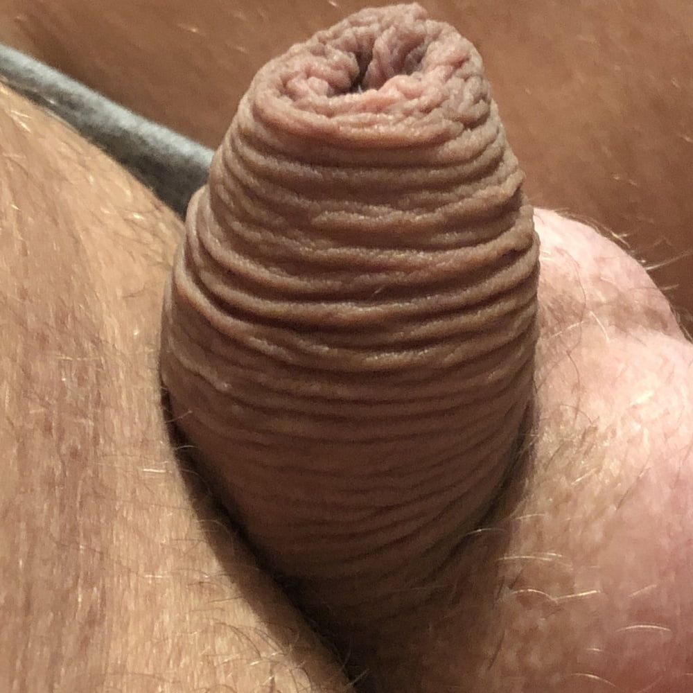 my little cock #50