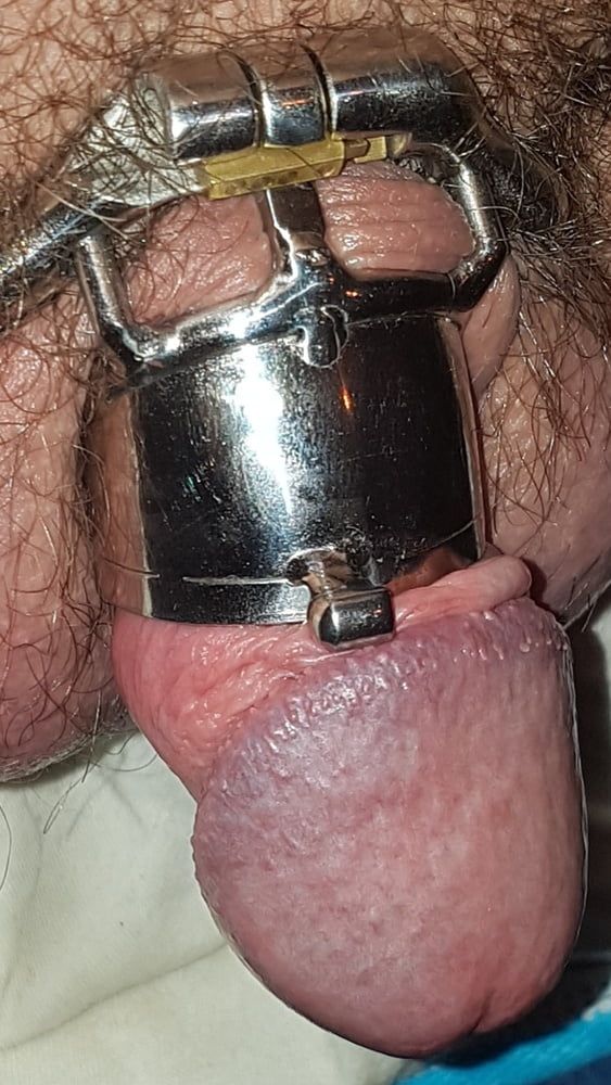 Chastity cage #48