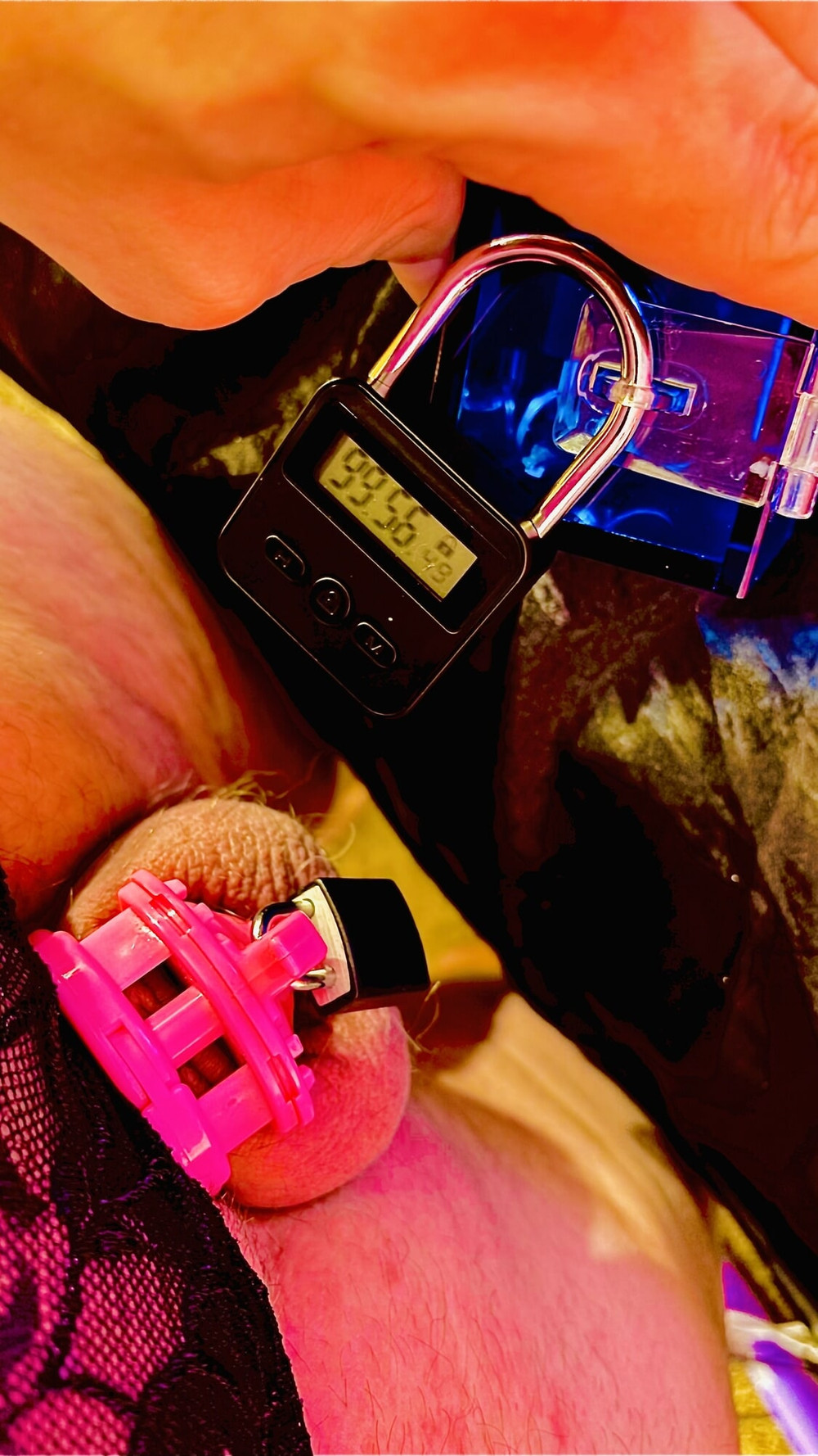 sissy chastity pig slave #10
