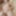 Yui Kisaragi :: Alternated BJ And Insert 2 - CARIBBEANCOM #31