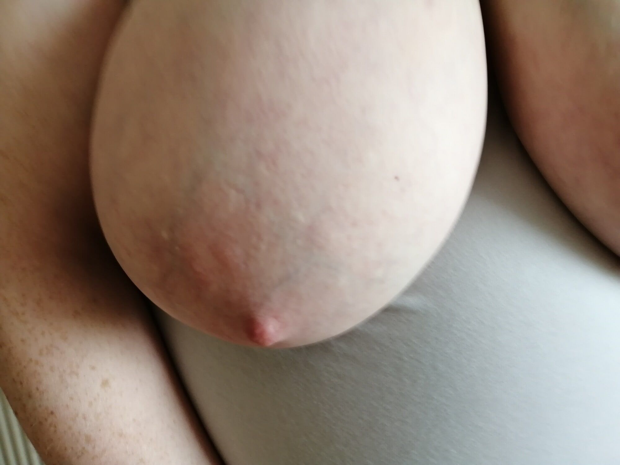 Good-quality photos of my tits #59