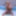 Pinky femboy swimsuit and milky pool #8