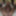 最新かつ最大の写真ダンプ