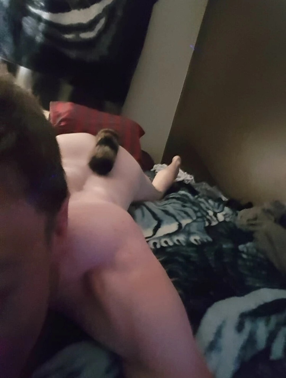 Butt Plug with fox tail #5