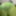 Lime spandex collection 2  #6