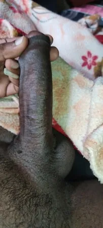 Srilankan cock 