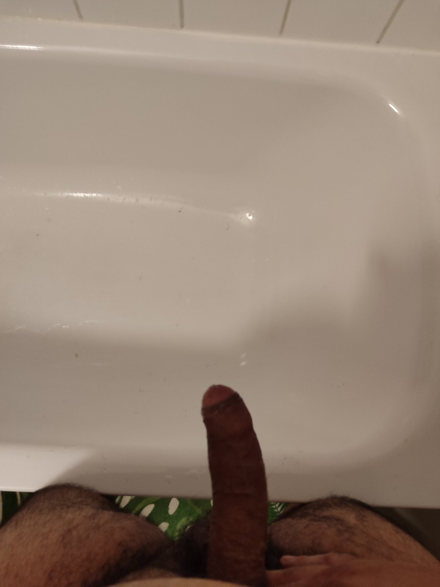my cock