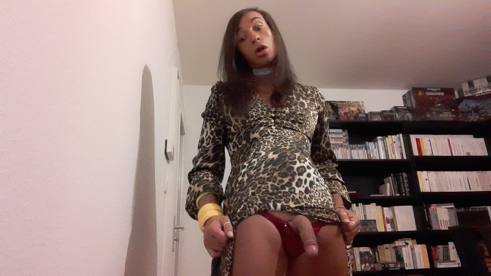 Sissy Tygra in leopard dress on 2019 octobre. #31