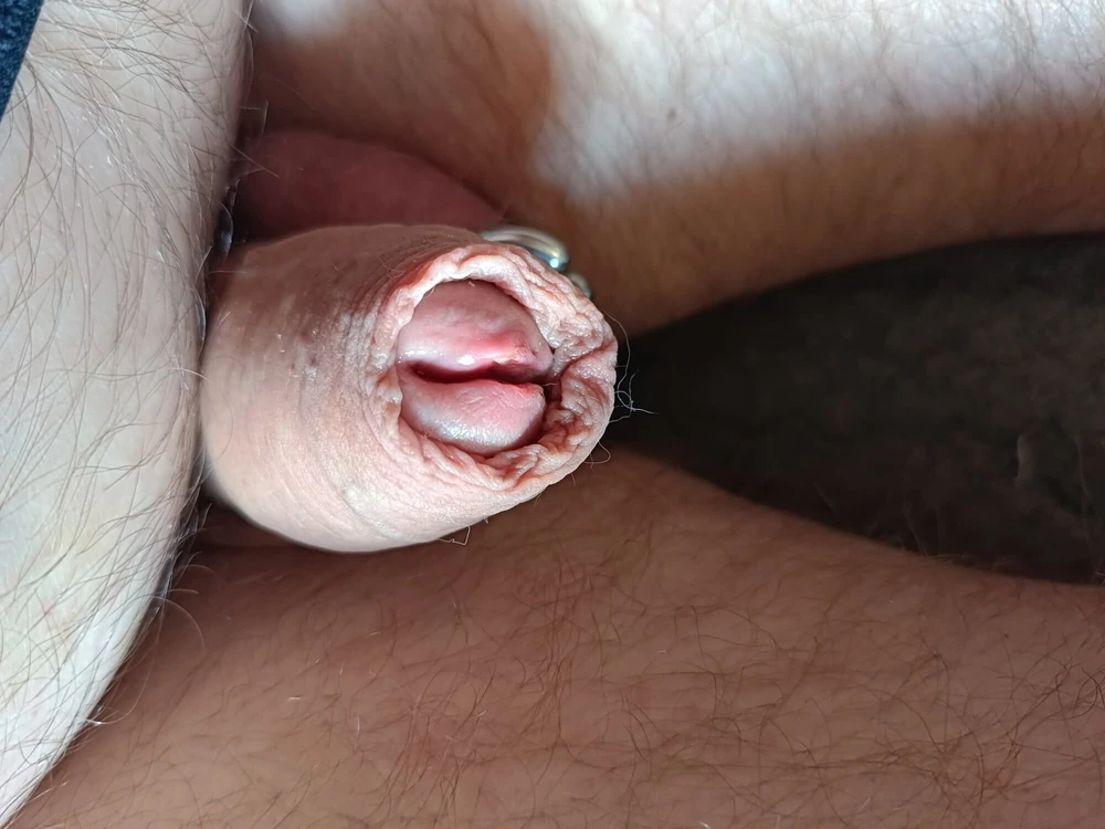 penis podzielony #2