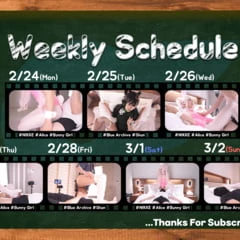 2.24-3.2 UPLOAD SCHEDULE