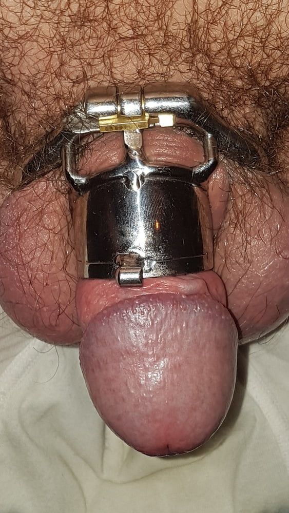 Chastity cage #50
