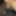 ライリーディルドギャップgif