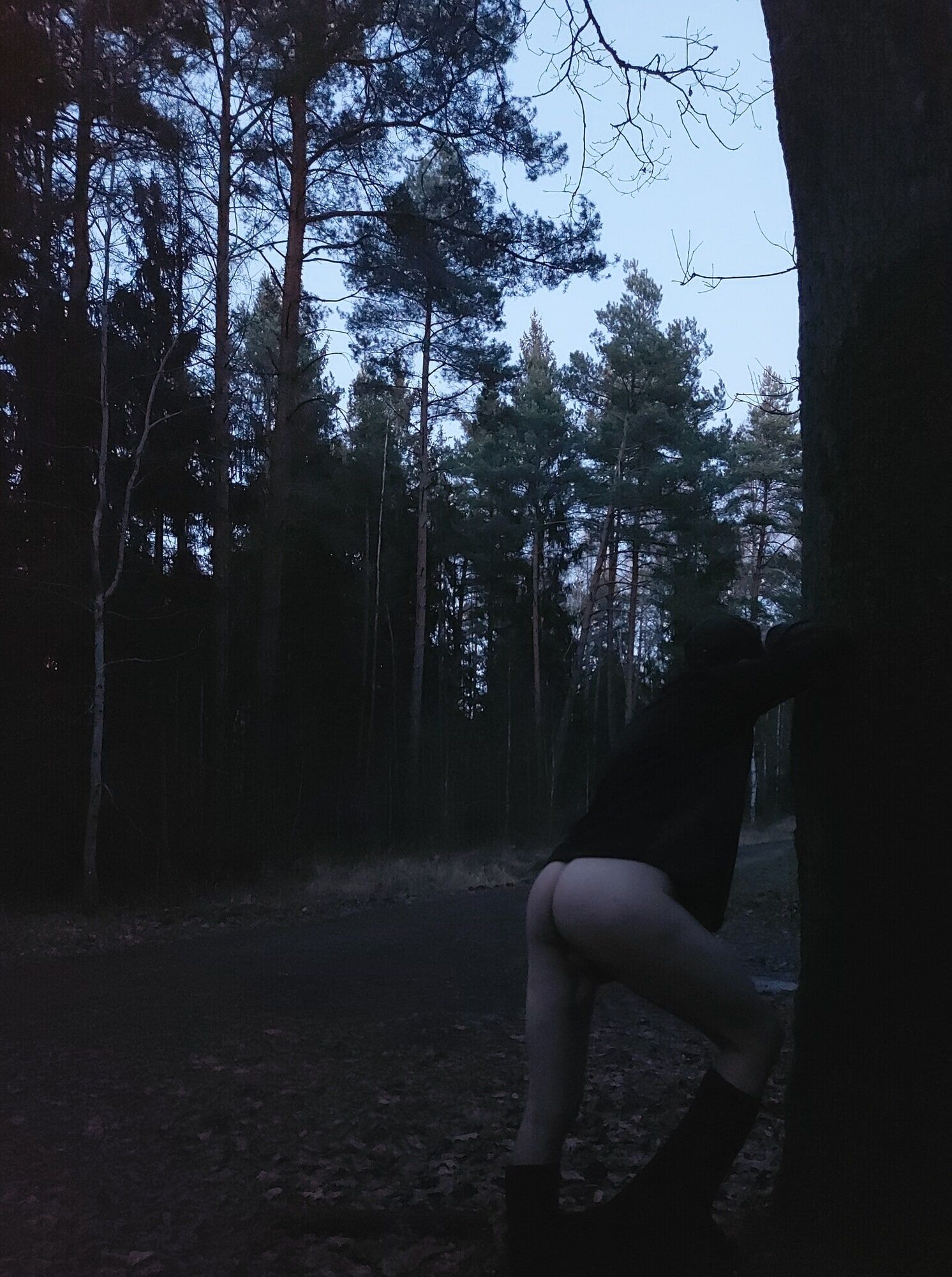 Jogging in the forest #3