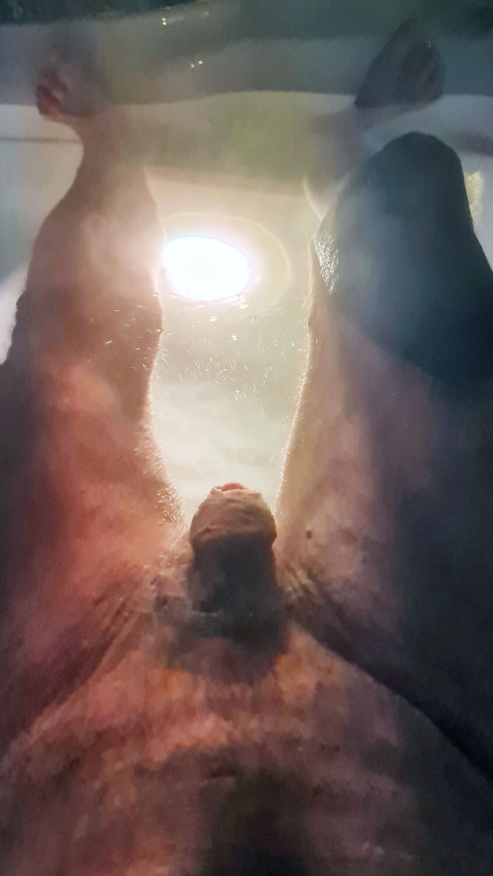 Underwater in the pool #5