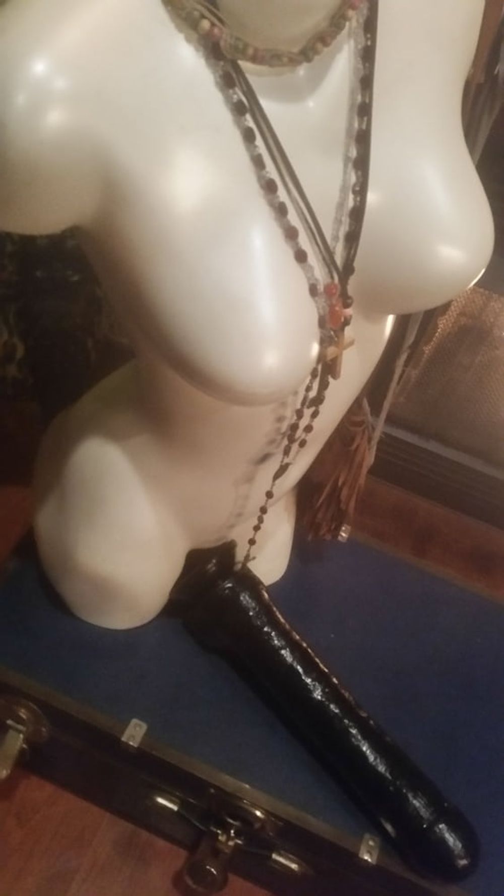 My Favorite Way To Display My Dildos  #6